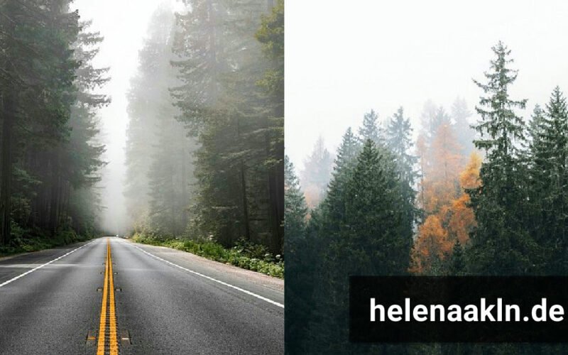 Helenaakln of Leak: Was steckt hinter dem rätselhaften Begriff?