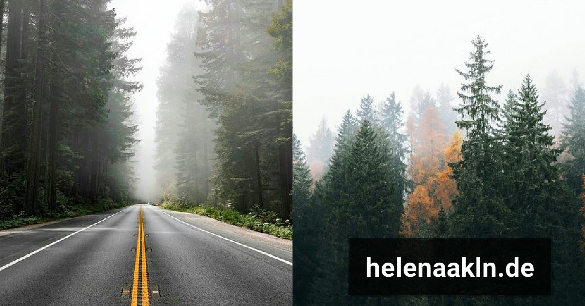 Helenaakln of Leak: Was steckt hinter dem rätselhaften Begriff?